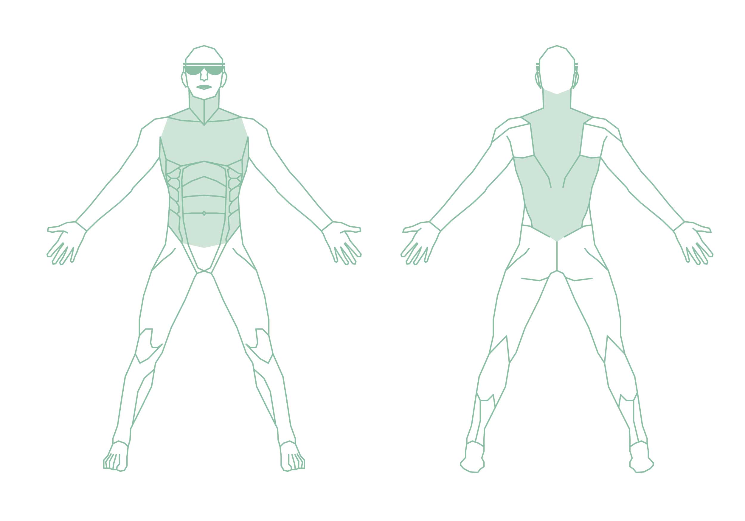 Illustration eines Menschen mit den sichtbar abgegrenzten Körperregionen Hals, Brust und Lende