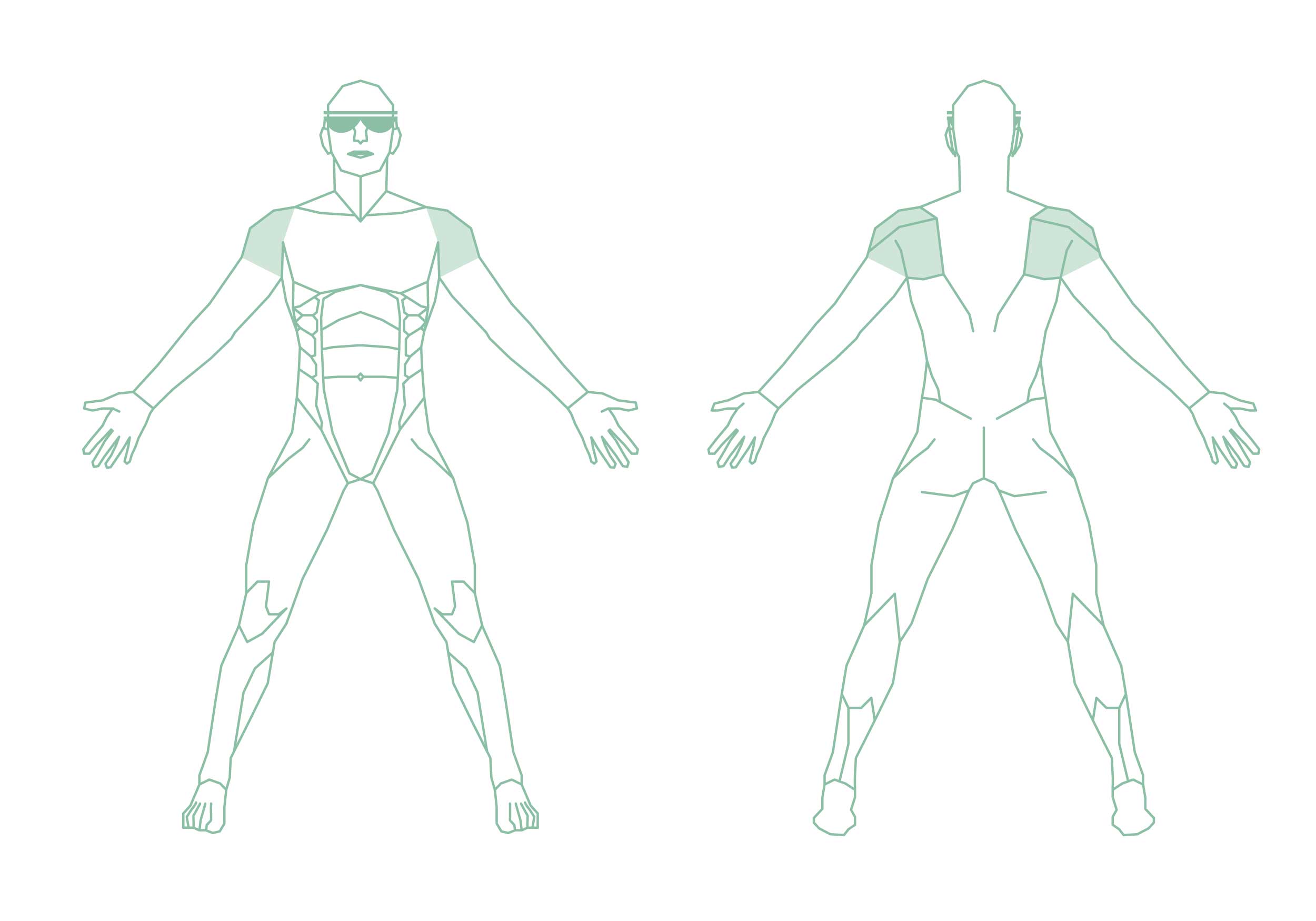 Illustration eines Menschen mit den sichtbar abgegrenzten Körperregionen Schultern